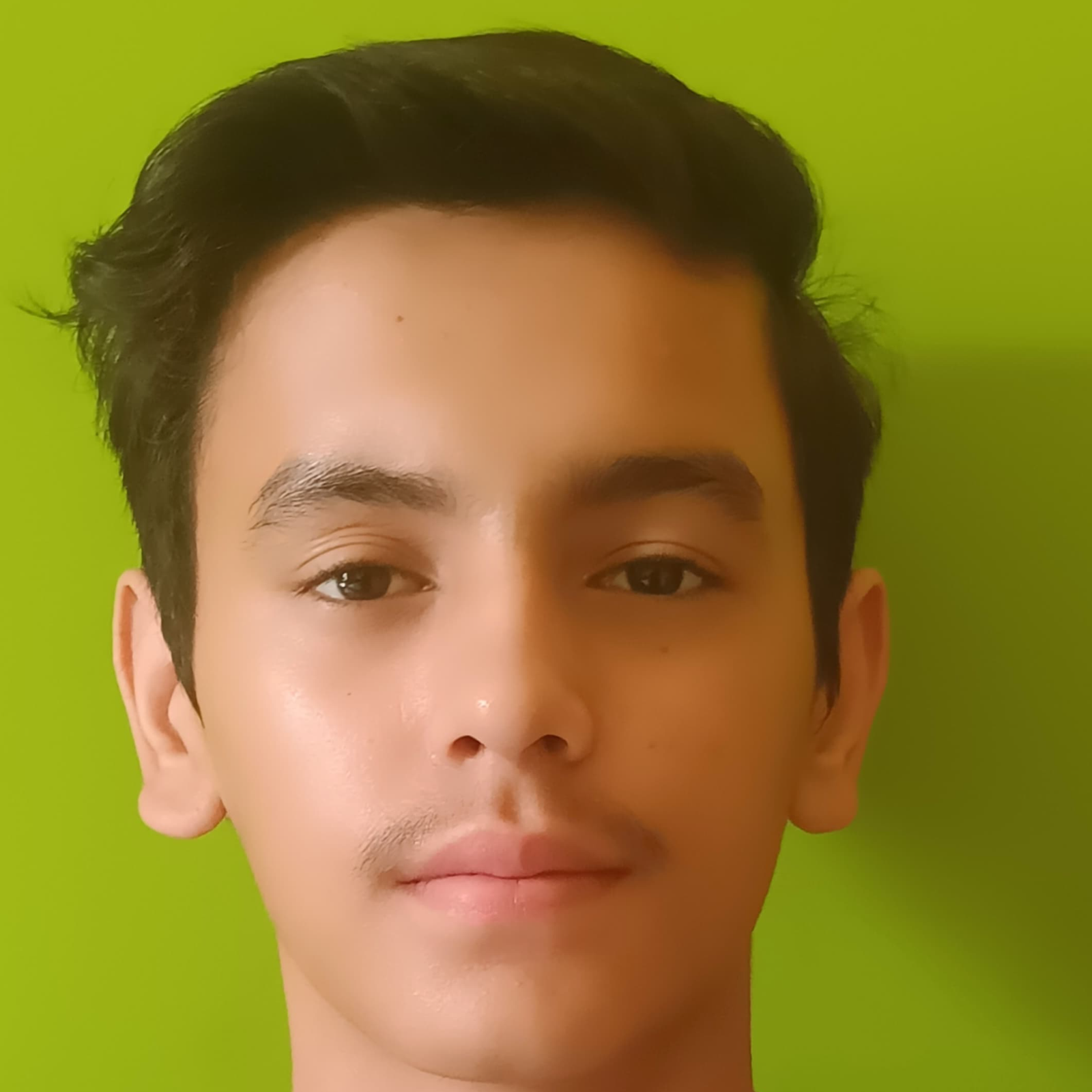 Ayush Kholia